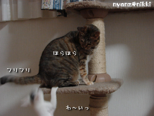 d0355333_14145440.jpeg