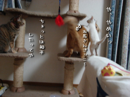 りんりん★ハイパー!_d0355333_14145442.jpeg