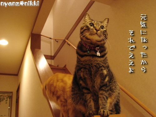 d0355333_14145723.jpeg