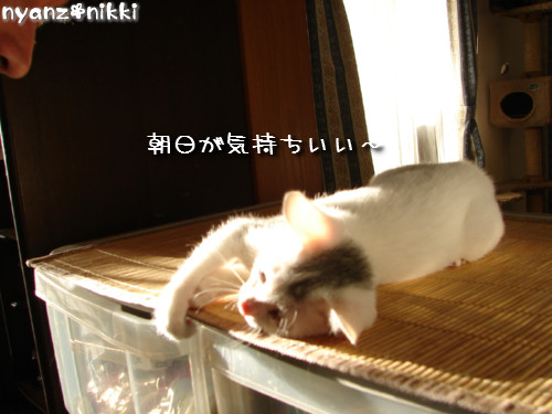 d0355333_14150278.jpeg