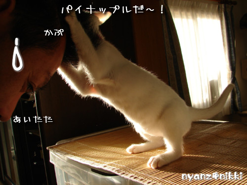 d0355333_14150398.jpeg
