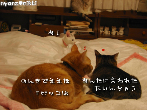 d0355333_14150617.jpeg