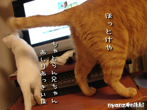 d0355333_14150670.jpeg