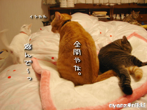 d0355333_14150678.jpeg