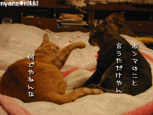 りんりん★お外の思い出は?_d0355333_14150707.jpeg