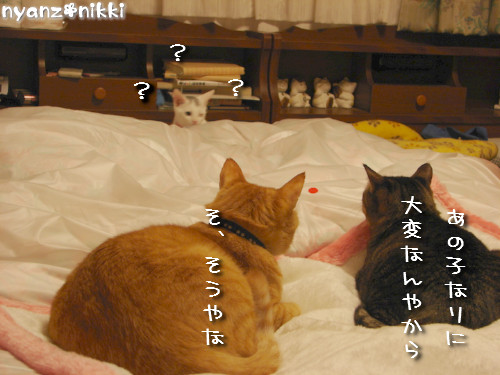 りんりん★お外の思い出は?_d0355333_14150771.jpeg