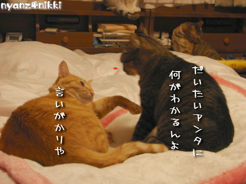 りんりん★お外の思い出は?_d0355333_14150796.jpeg