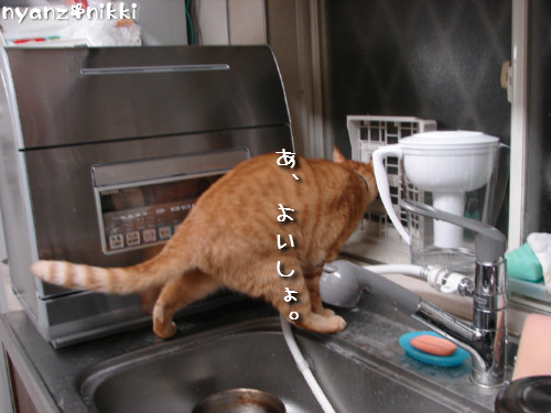 『オリテ』トレーニング実施ちう_d0355333_14150823.jpeg