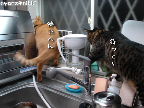 『オリテ』トレーニング実施ちう_d0355333_14150882.jpeg