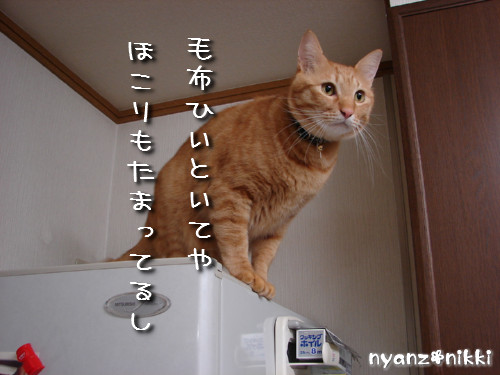 『オリテ』トレーニング実施ちう_d0355333_14150936.jpeg