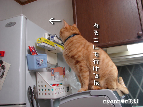 『オリテ』トレーニング実施ちう_d0355333_14150959.jpeg