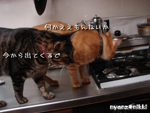 『オリテ』トレーニング実施ちう_d0355333_14150967.jpeg