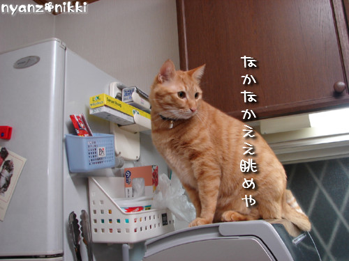 『オリテ』トレーニング実施ちう_d0355333_14150987.jpeg