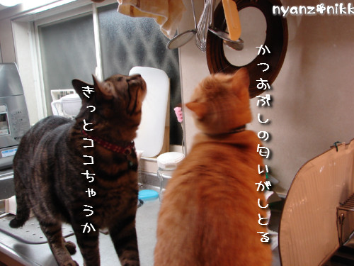 『オリテ』トレーニング実施ちう_d0355333_14151109.jpeg