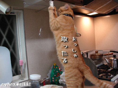 『オリテ』トレーニング実施ちう_d0355333_14151211.jpeg