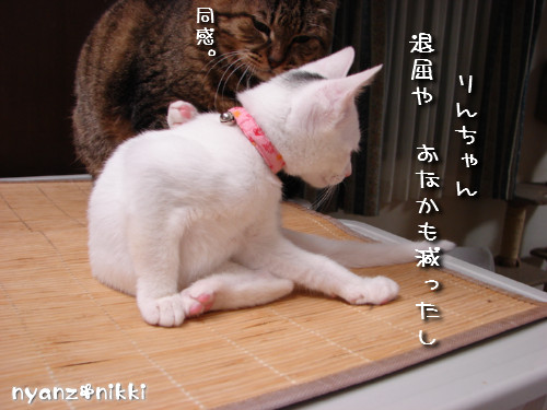 『オリテ』トレーニング実施ちう_d0355333_14151212.jpeg