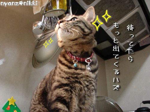 『オリテ』トレーニング実施ちう_d0355333_14151358.jpeg