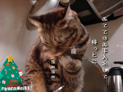 『オリテ』トレーニング実施ちう_d0355333_14151360.jpeg