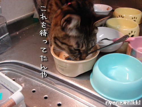 『オリテ』トレーニング実施ちう_d0355333_14151397.jpeg