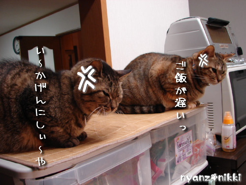 『オリテ』トレーニング実施ちう_d0355333_14151421.jpeg