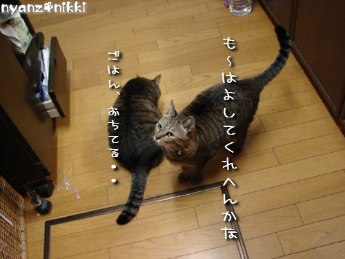 『オリテ』トレーニング実施ちう_d0355333_14151495.jpeg