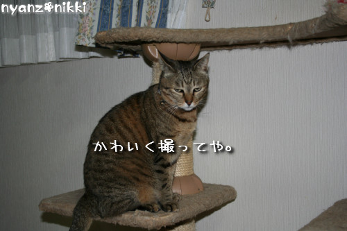 ついに念願の・・・_d0355333_14151526.jpeg