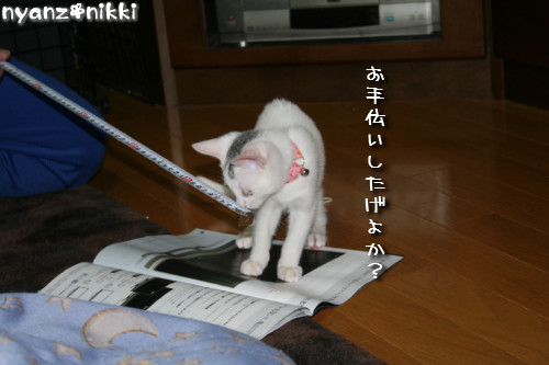 ついに念願の・・・_d0355333_14151612.jpeg