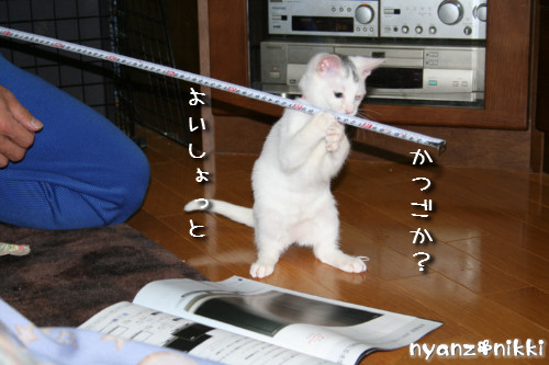 ついに念願の・・・_d0355333_14151886.jpeg