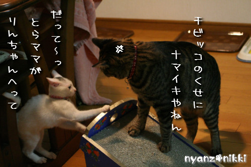 ぺんぺんの続きは?_d0355333_14152264.jpeg