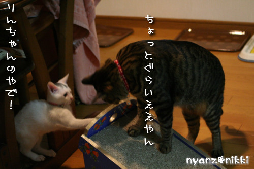 ぺんぺんの続きは?_d0355333_14152286.jpeg