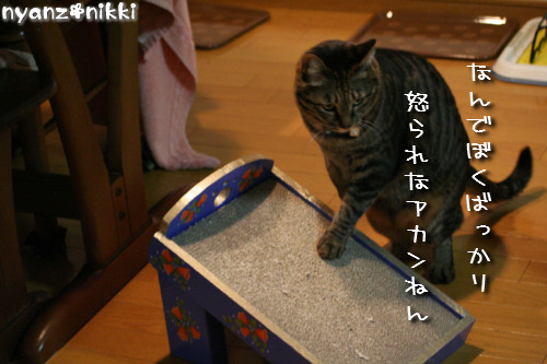 ぺんぺんの続きは?_d0355333_14152364.jpeg