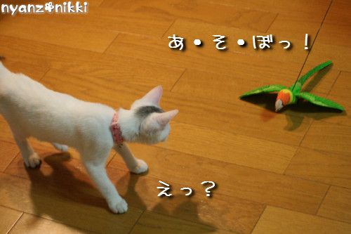 d0355333_14152572.jpeg