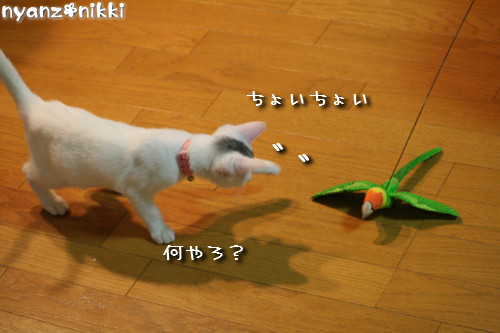 d0355333_14152591.jpeg