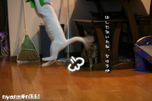 りんちゃん★雑技団結成!_d0355333_14153578.jpeg