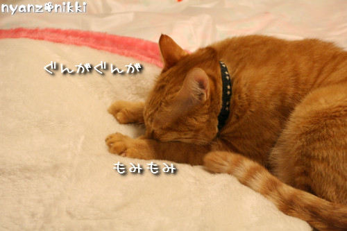 ハマりもん_d0355333_14153944.jpeg