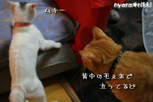 ハマりもん_d0355333_14154172.jpeg
