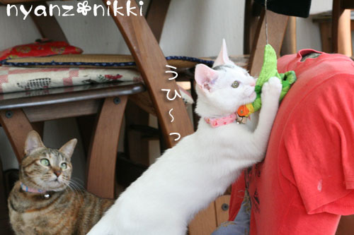 ゆうたママnicoさんがやってきた★_d0355333_14154364.jpg