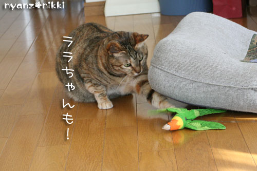 ゆうたママnicoさんがやってきた★_d0355333_14154424.jpg
