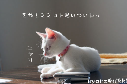 こりるワケないやんね ^m^_d0355333_14155503.jpg