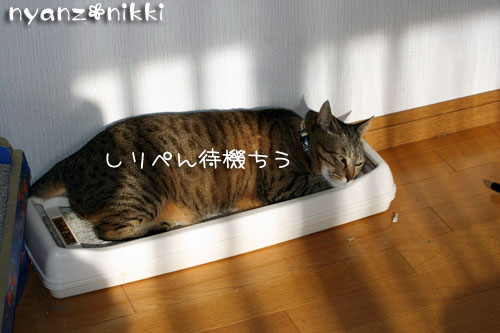 こりるワケないやんね ^m^_d0355333_14155524.jpg