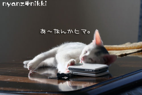 こりるワケないやんね ^m^_d0355333_14155525.jpg