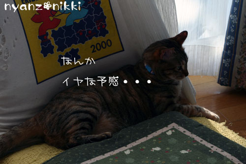 こりるワケないやんね ^m^_d0355333_14155526.jpg