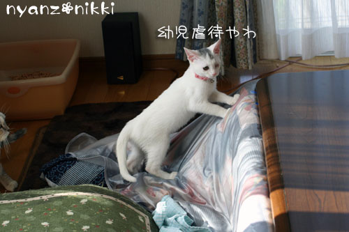 こりるワケないやんね ^m^_d0355333_14155599.jpg
