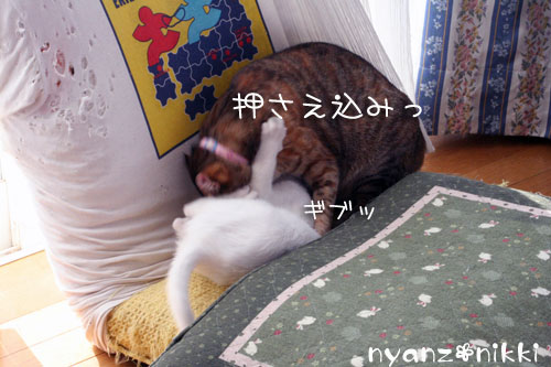 こりるワケないやんね ^m^_d0355333_14155766.jpg