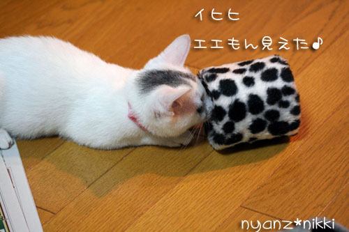こりるワケないやんね ^m^_d0355333_14155808.jpg