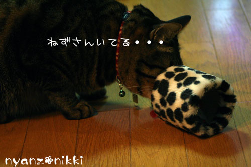 デビュー近し?!_d0355333_14155843.jpg