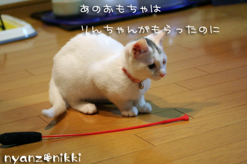 デビュー近し?!_d0355333_14155964.jpg