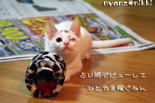 デビュー近し?!_d0355333_14160107.jpg