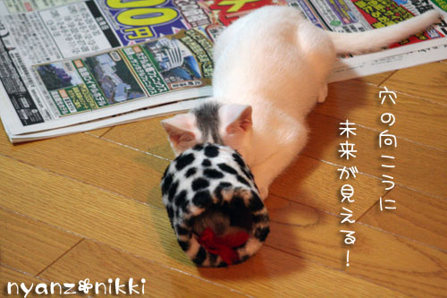 デビュー近し?!_d0355333_14160177.jpg