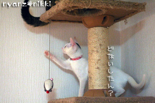 し、し、しまった・・・_d0355333_14160227.jpg